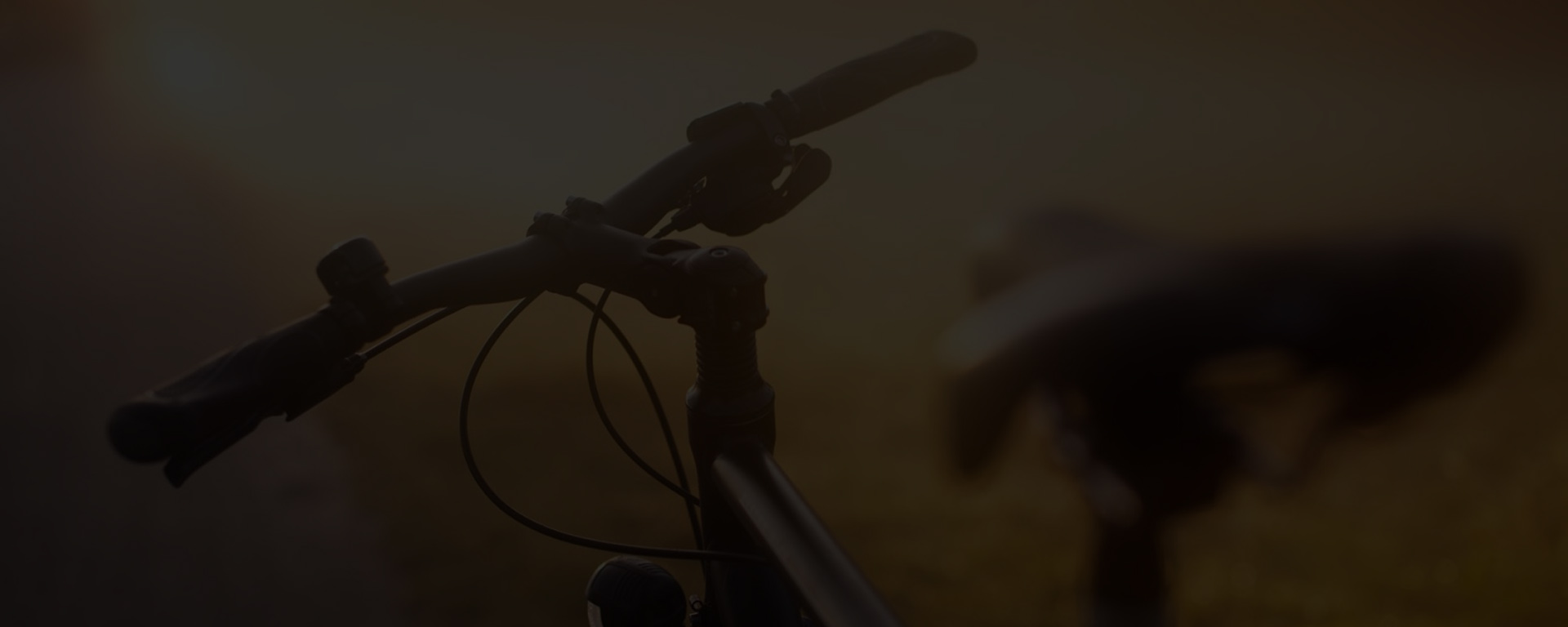 Web漏洞扫描工具