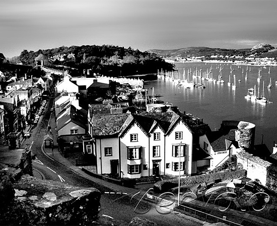 Web漏洞扫描工具